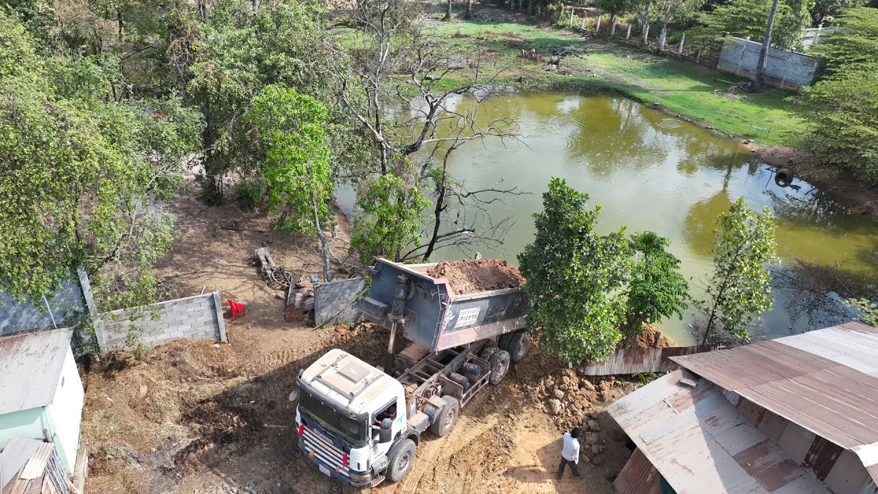 New Project!!! Bulldozer Cat 3C & Truck 25ton Clearing the land will push the soil to fill the pond