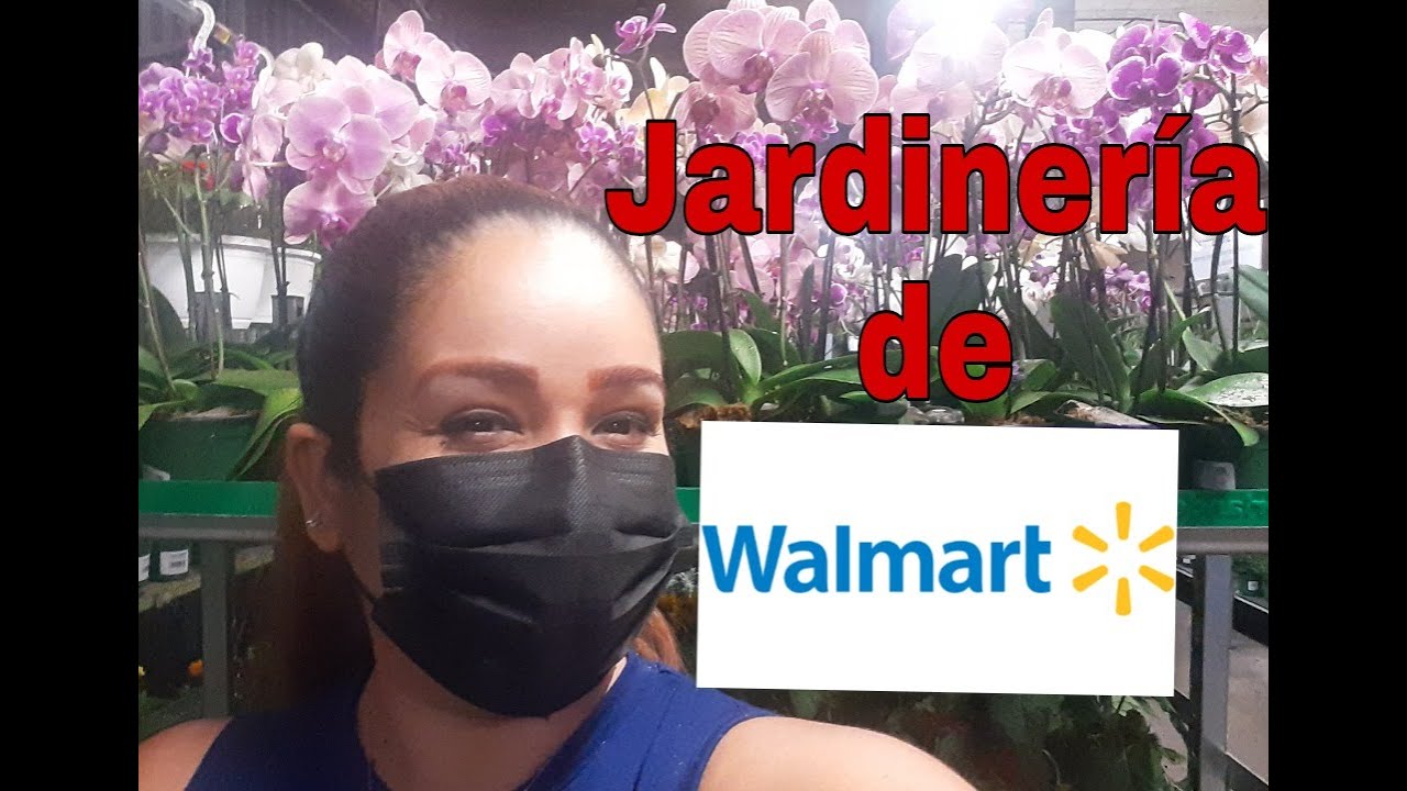 Jardiner&iacute;a de walmart