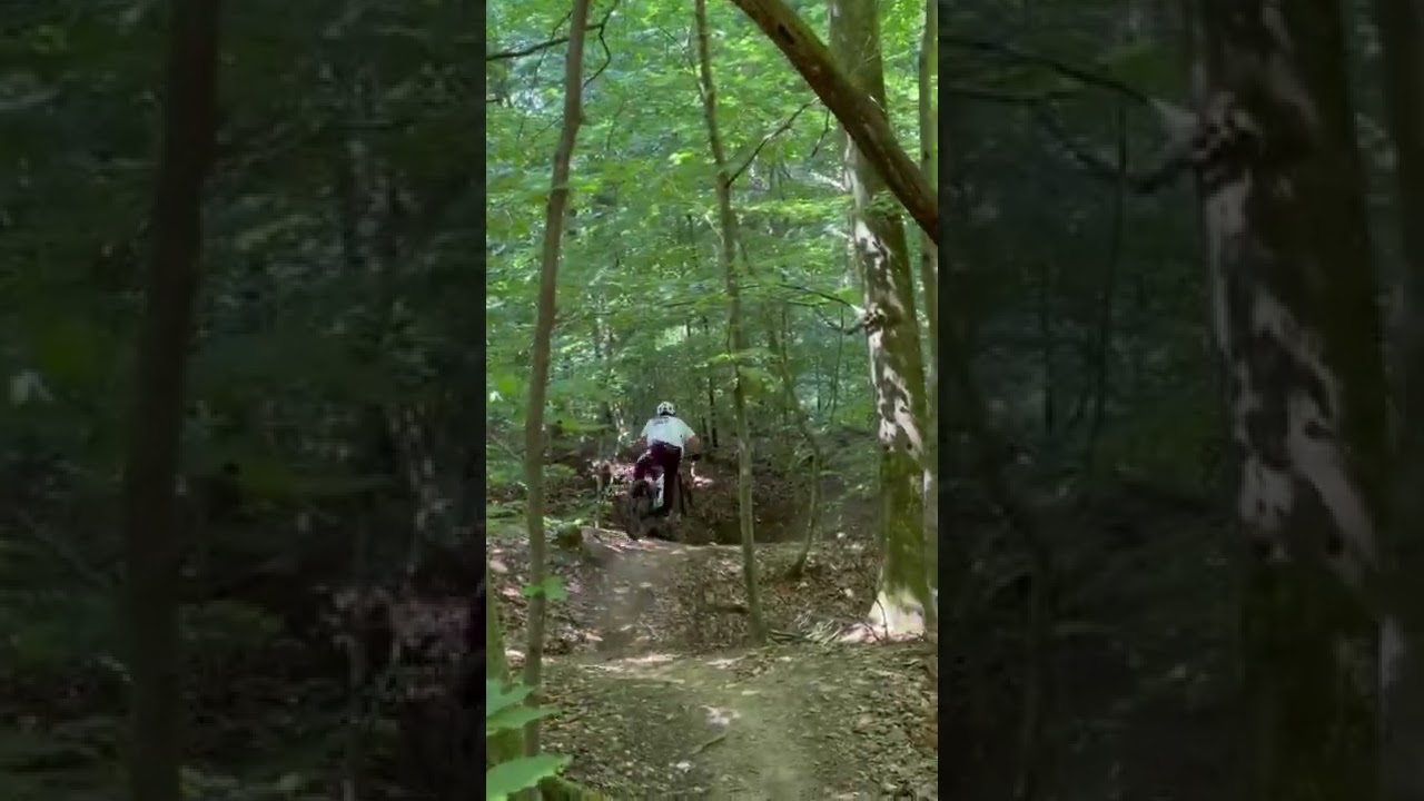 E MTB trail Session 🔥 #bike #mtb #jump #enduro #fully #saschatrial