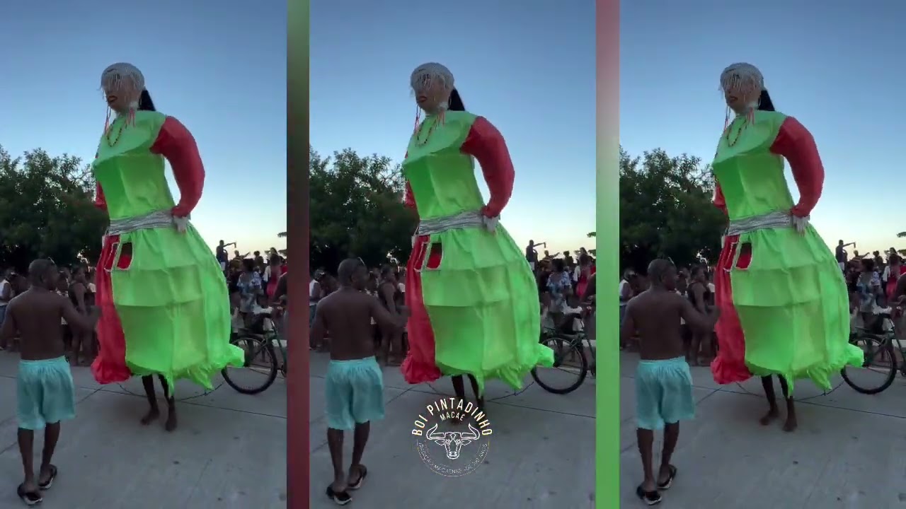 BOI PINTADINHO NA IMBETIBA MACAÉ