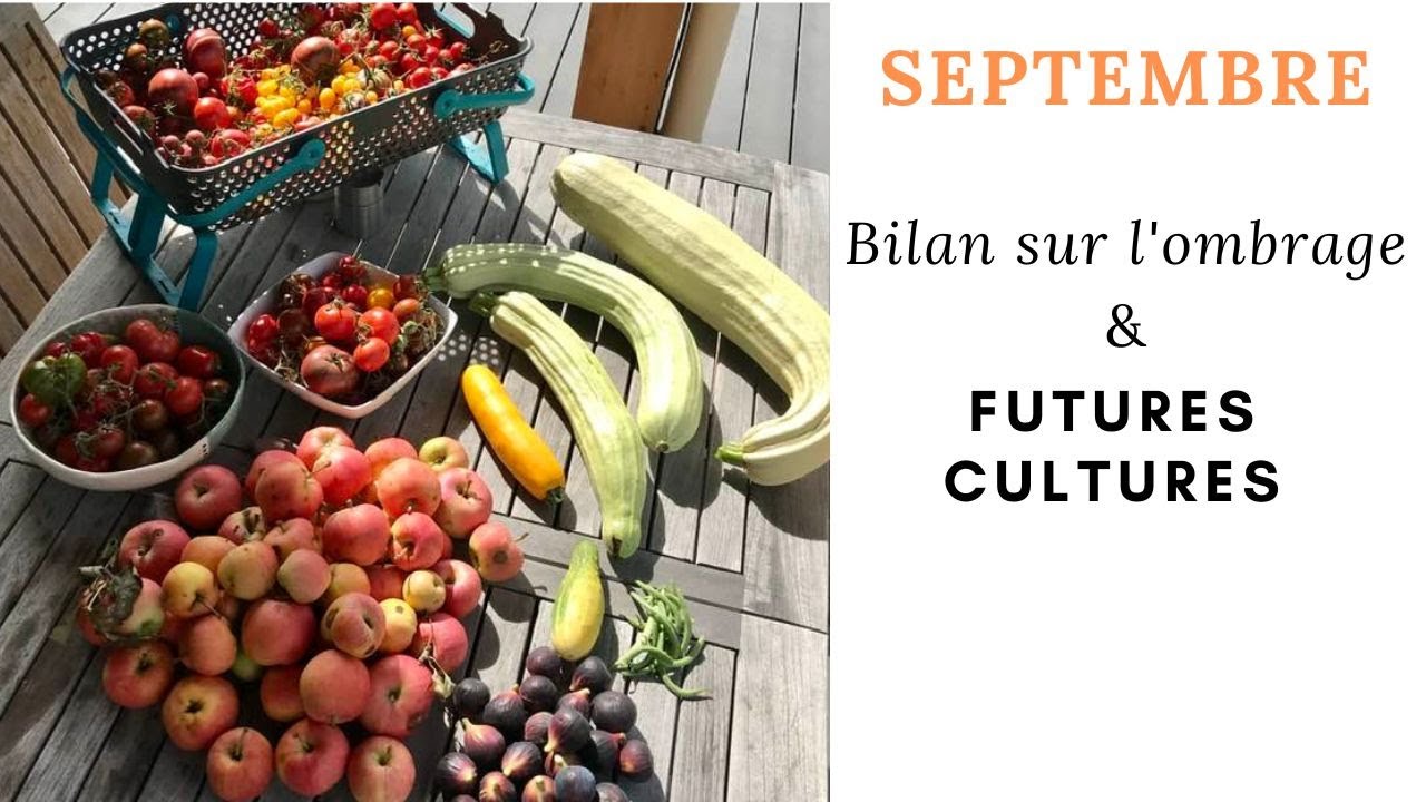 🍁 Septembre au jardin, retour d'expériences et projets