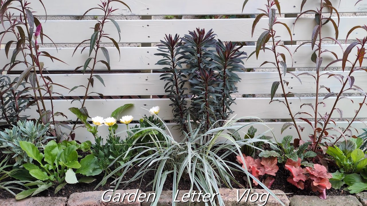 Garden Letter Vlog ＃11　DIYで2箇所にウッドフェンスを設置　11月から始まる春庭の準備あれこれ