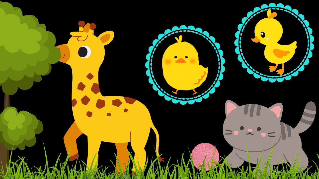 Baby Sensory Video Sleep - Cute Animals - Sensory Videos For Babies - Tummy Time Newborn #babyvideos