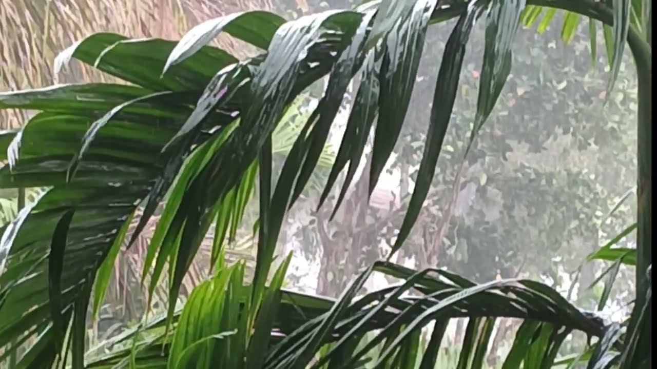 Rain Sounds for Deep Sleep 😴 | Calming Night Rain Ambience