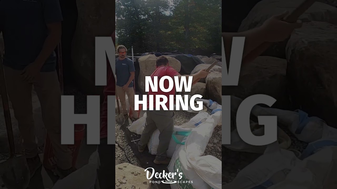 Компания Decker's Pondscapes набирает сотрудников! Присоединяйтесь к нашей команде по строительст...