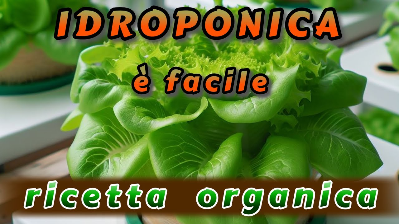 Idroponica -  più semplice di così ...