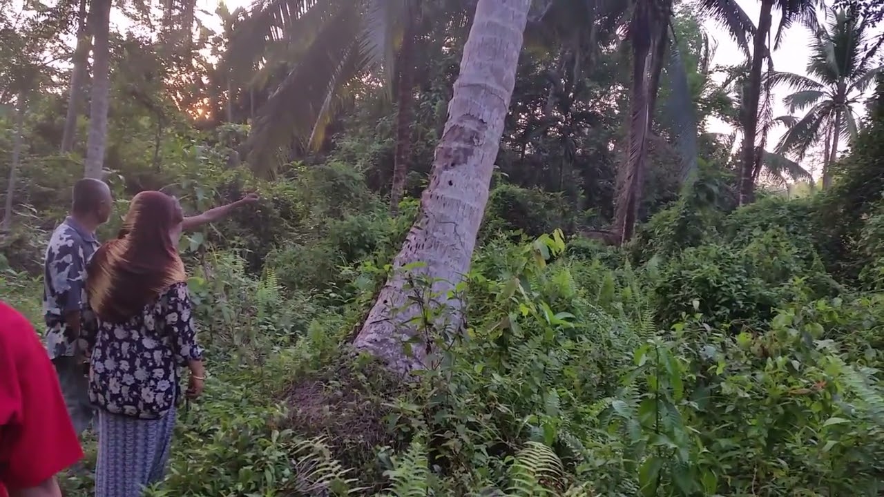 20150506 Kebun Danan