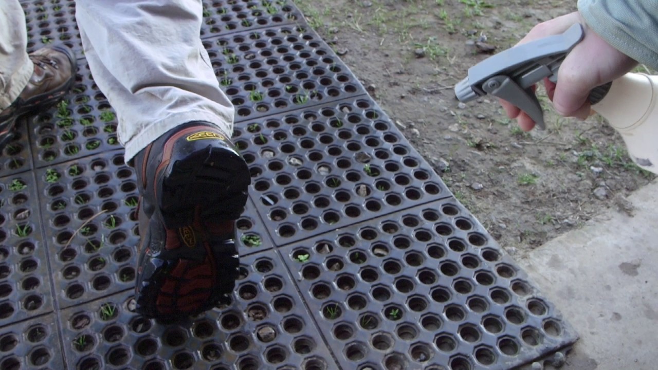 Worker Health and Hygiene - Produce Best Practices Training