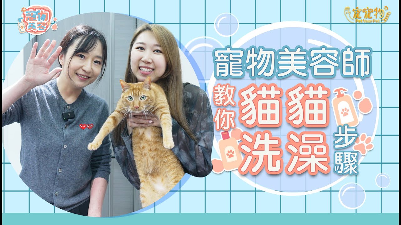 【寵物美容體驗EP2】寵物美容師教你🐱貓貓洗澡步驟︳咬傷怎處理？新手注意事項︳寵物美容新手教學︳寵寵物 PET YOUR PET