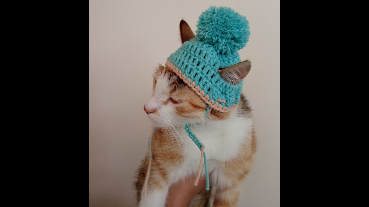 Kedim İçin Bere 🐈 Tasarladım, Kedi Beresi Nasıl Yapılır / I Designed a Beanie for My Cat