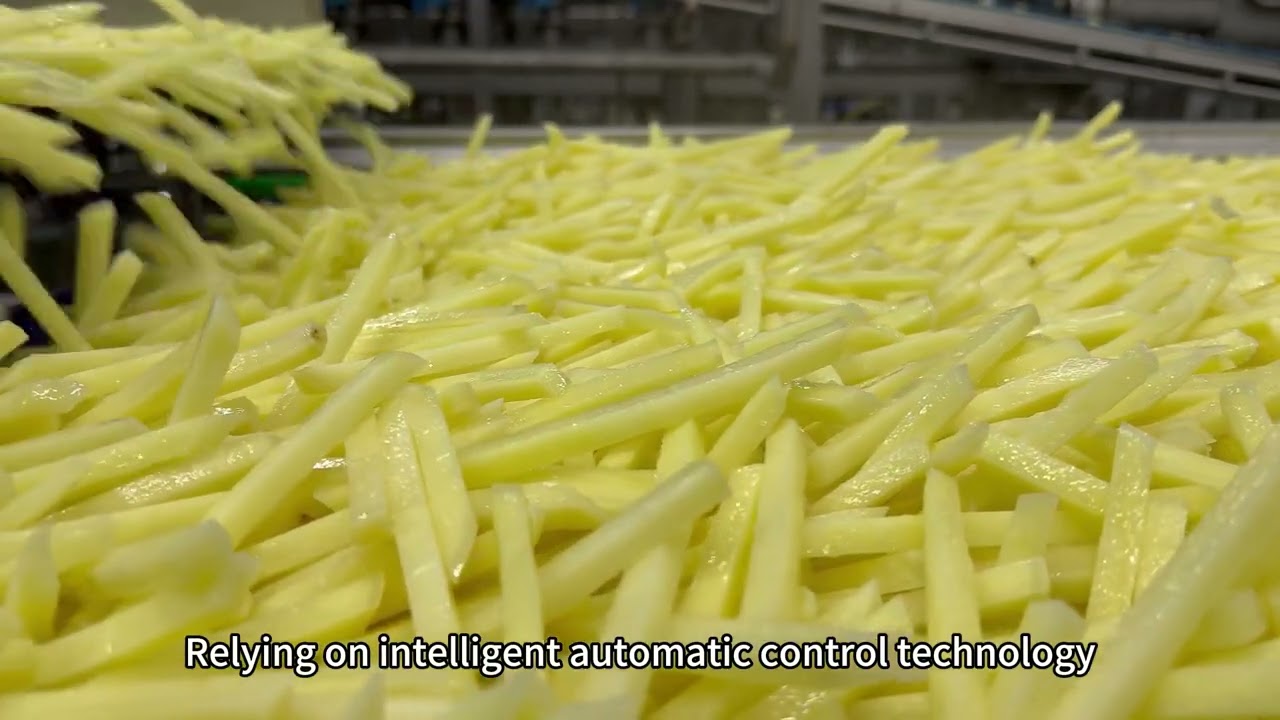 CPFMC French Frozen Fries Processing Line