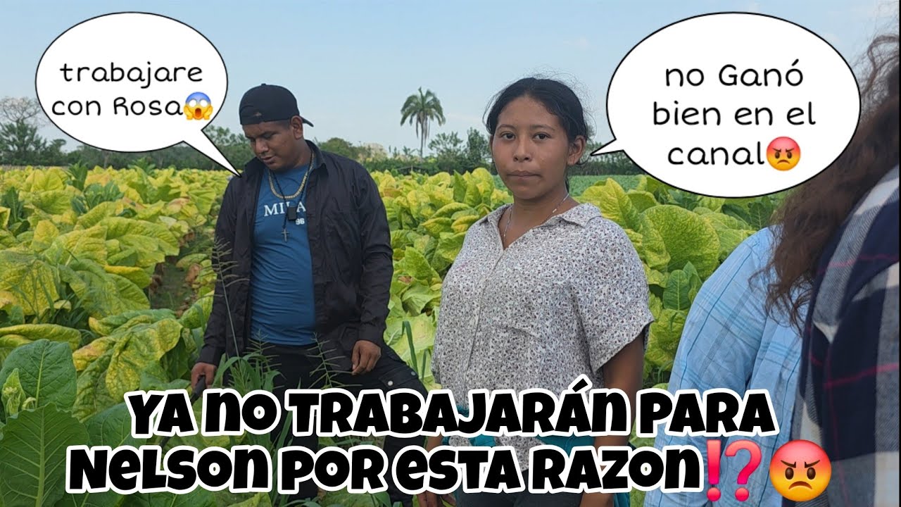 ROSA Y TIN Ya no Trabajarán Para NELSON😱Trabajarán Juntos⁉️FUERTES DECORACIÓNES 