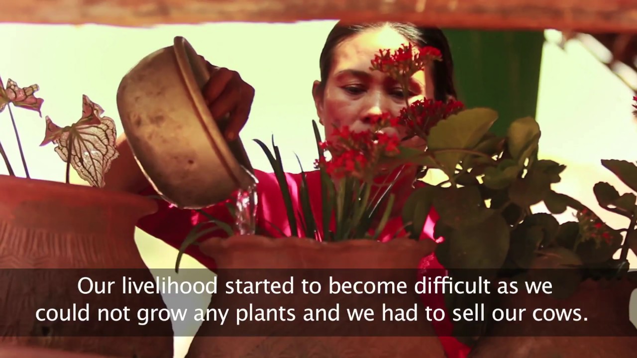 SHAMPOO - Alternative Livelihoods
