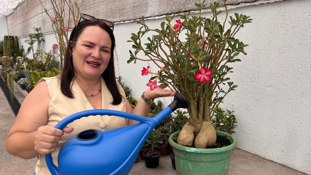 Como adubamos nossas plantas | Simples e eficiente
