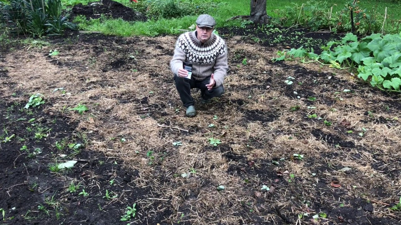 S&aring;dan s&aring;r du gr&oslash;ng&oslash;dning
