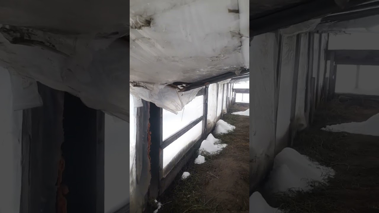 Помилки при побудові теплички, які не потрібно повторювати
