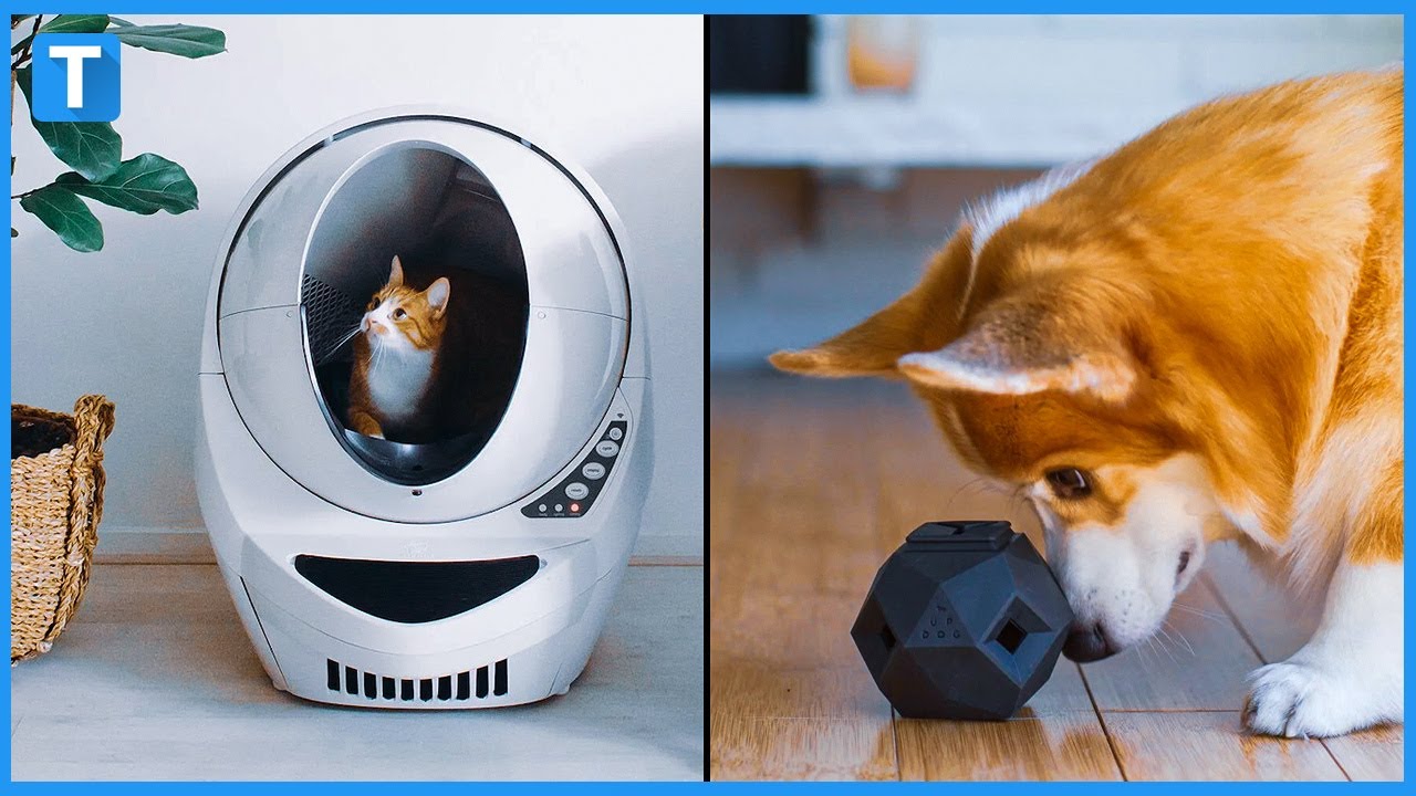 15 coolest gadgets for pets