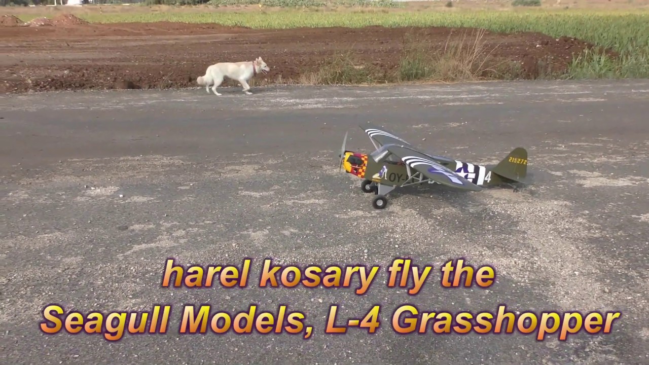 harel kosary fly the Seagull Models L4 Grasshopper