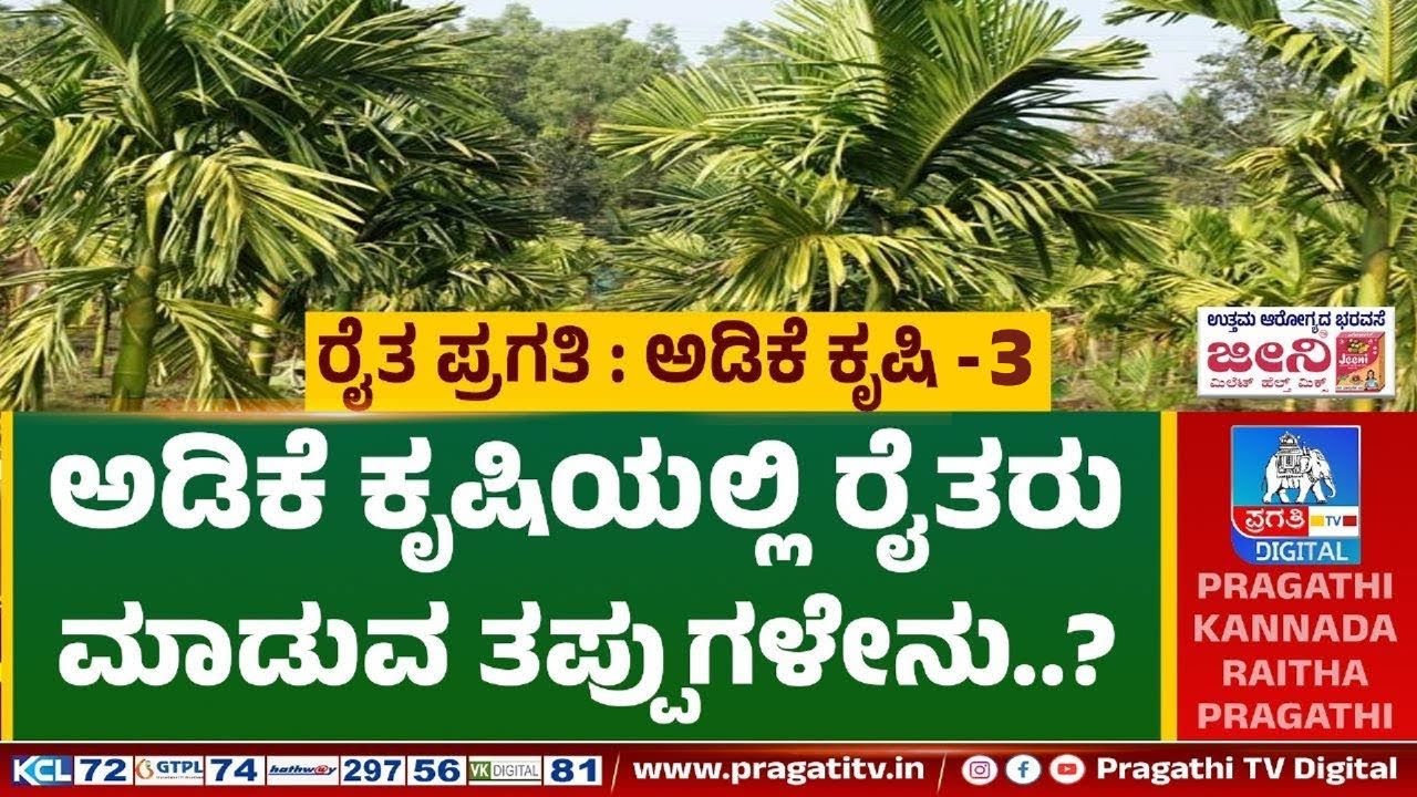 ಅಡಿಕೆ ಕೃಷಿಯಲ್ಲಿ ರೈತರು ಮಾಡುವ ತಪ್ಪುಗಳೇನು? | ಯಾವೆಲ್ಲಾ ರೋಗಗಳು ಬರುತ್ತವೆ.? | Part 3 | Raitha Pragathi