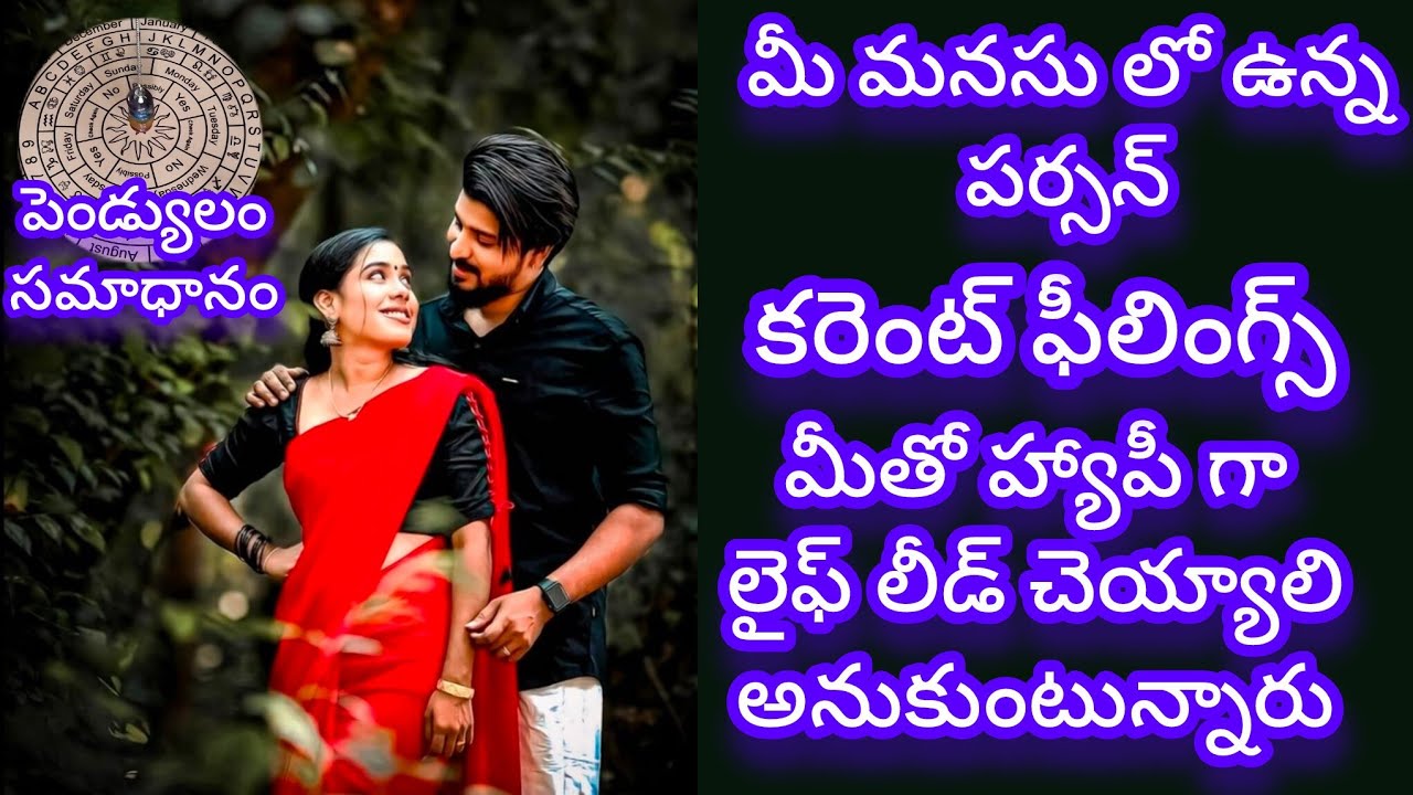 🧚🌈మీ పర్సన్ కరెంట్ ఫీలింగ్స్ మీతో హ్యాపీ లైఫ్ లీడ్ కోరుకుంటున్నారు ❤️ tarot reading today 