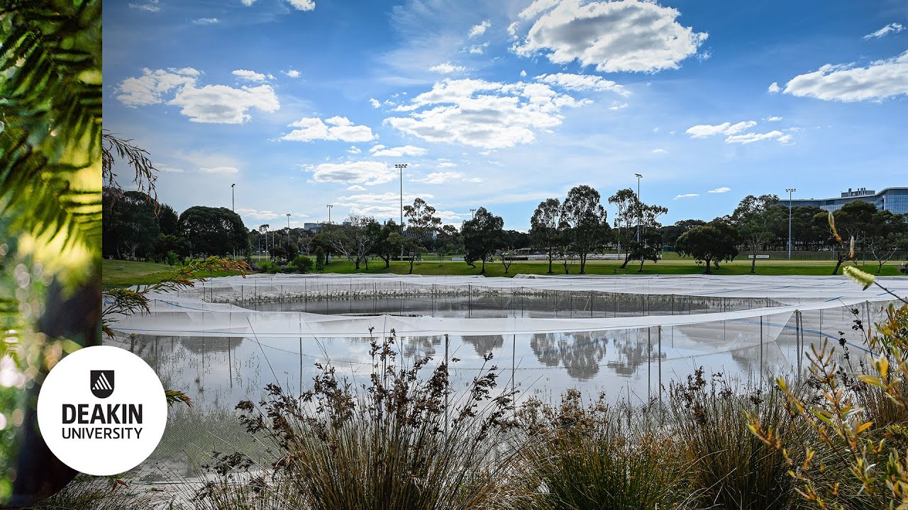 Integrated Water Management at Deakin