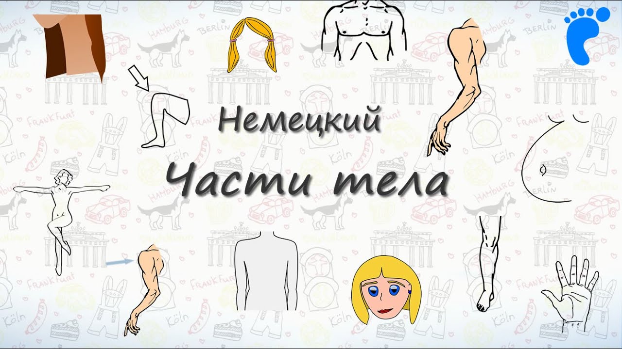 Части тела на немецком. Учим названия частей тела человека
