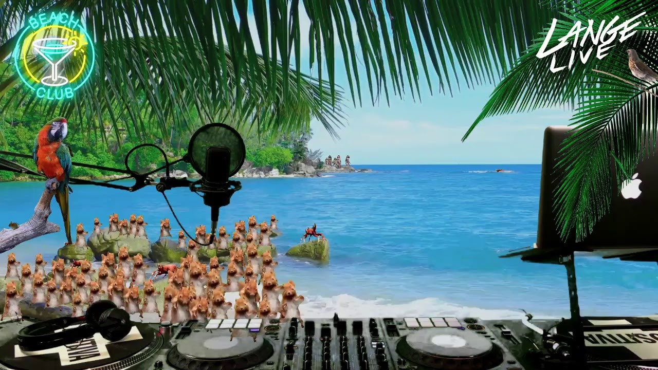Lange Live - Back To The Beach - 12 Feb 2021