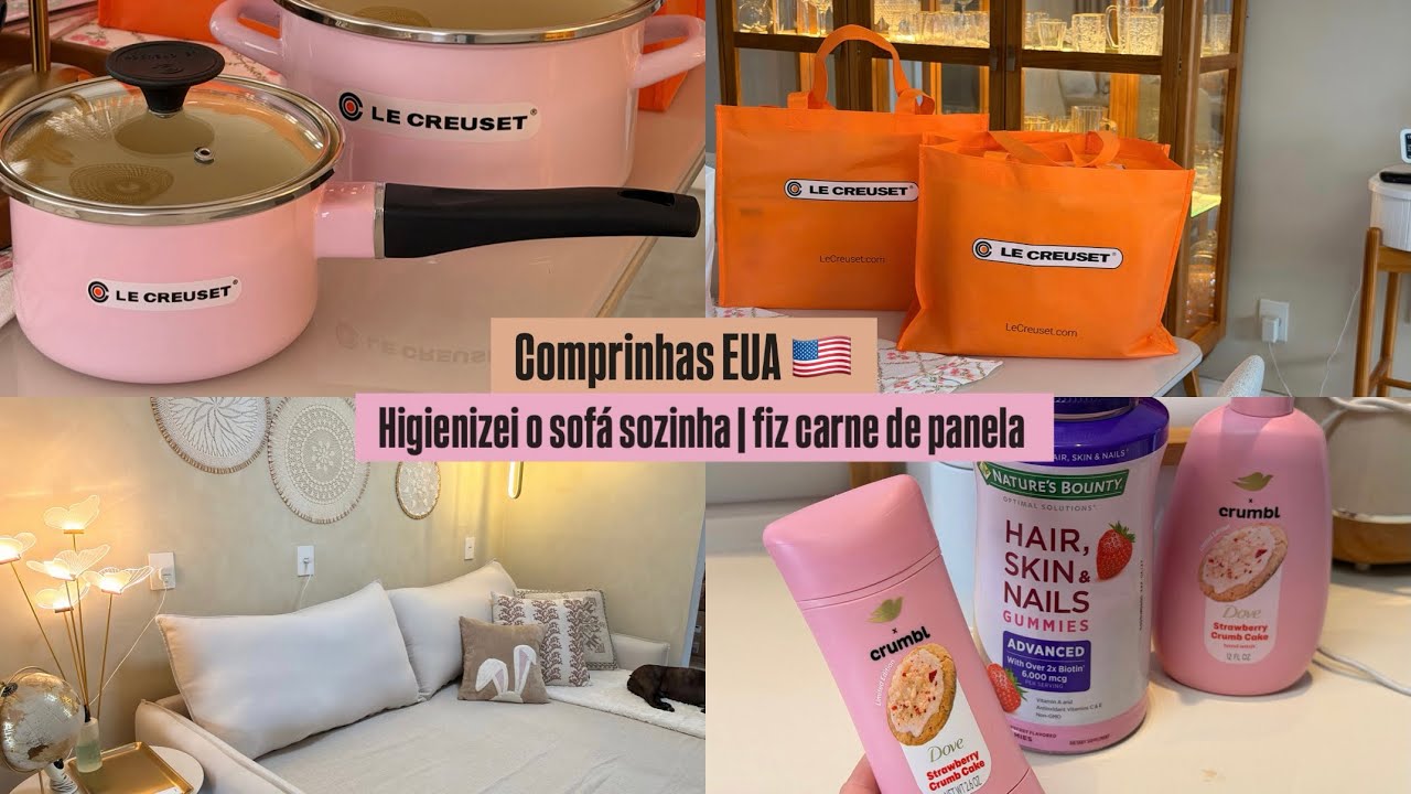 COMPRAS EUA 🇺🇸 | HIGIENIZO O SOFÁ SOZINHA | FIZ CARNE DE PANELA 