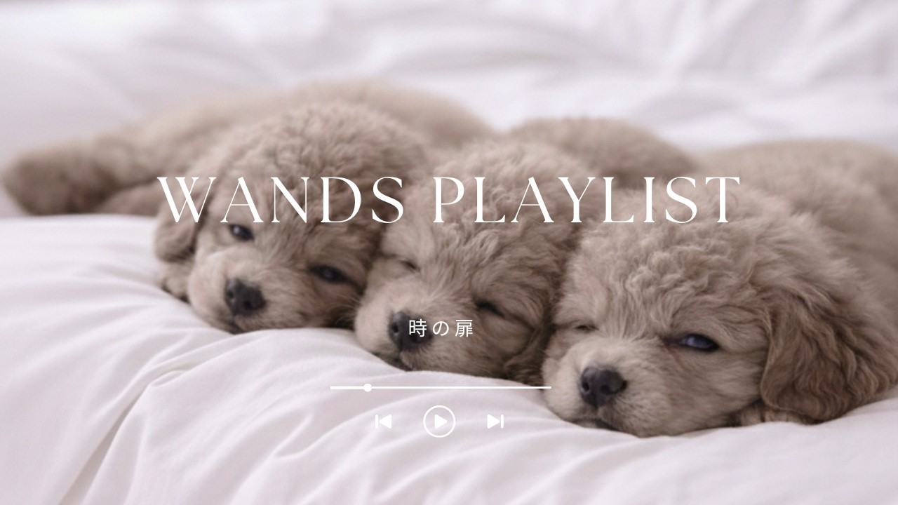 WANDSと、わんこと、お昼寝と。