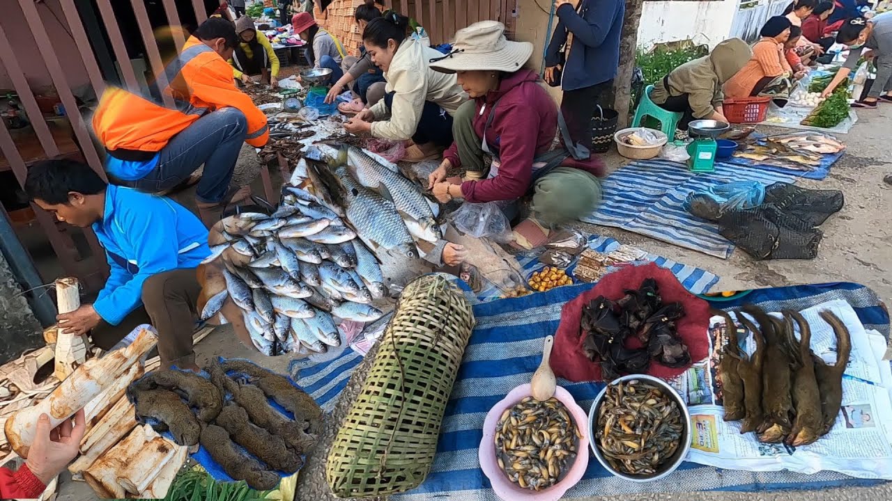 ของป่าลาว ตลาดเช้าเมืองวังเวียง ไส้อั่ว อาหารลาวอร่อยๆ ภูเก้าหลักวิวสวย