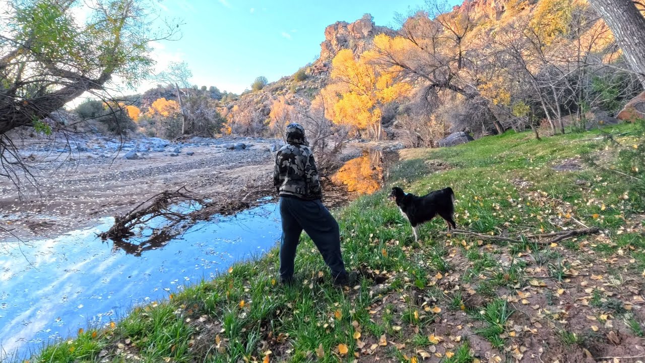 Winter Overnight Backpacking Trip in Arizona  #@WhiteRaven5544 #doglife#backpacking#hiking#camping