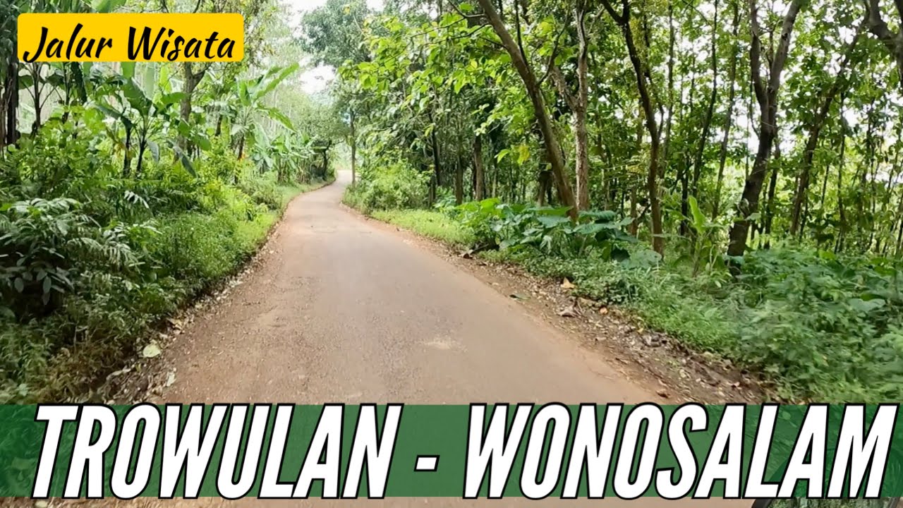 Jalur Wisata dari TROWULAN MOJOKERTO ke WONOSALAM JOMBANG | Jalannya sempit & banyak yang rusak!!!