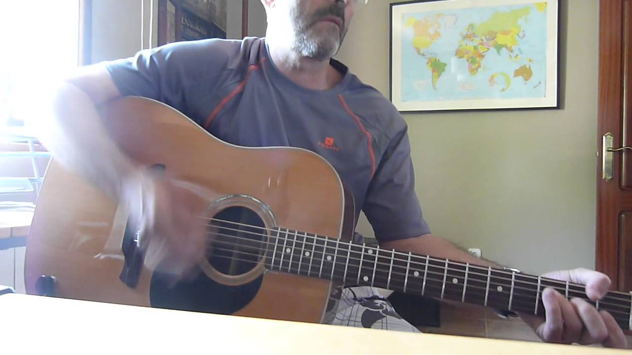 P&aacute;jaros disecados (Ac&uacute;stico).Cover Luis Ferreira