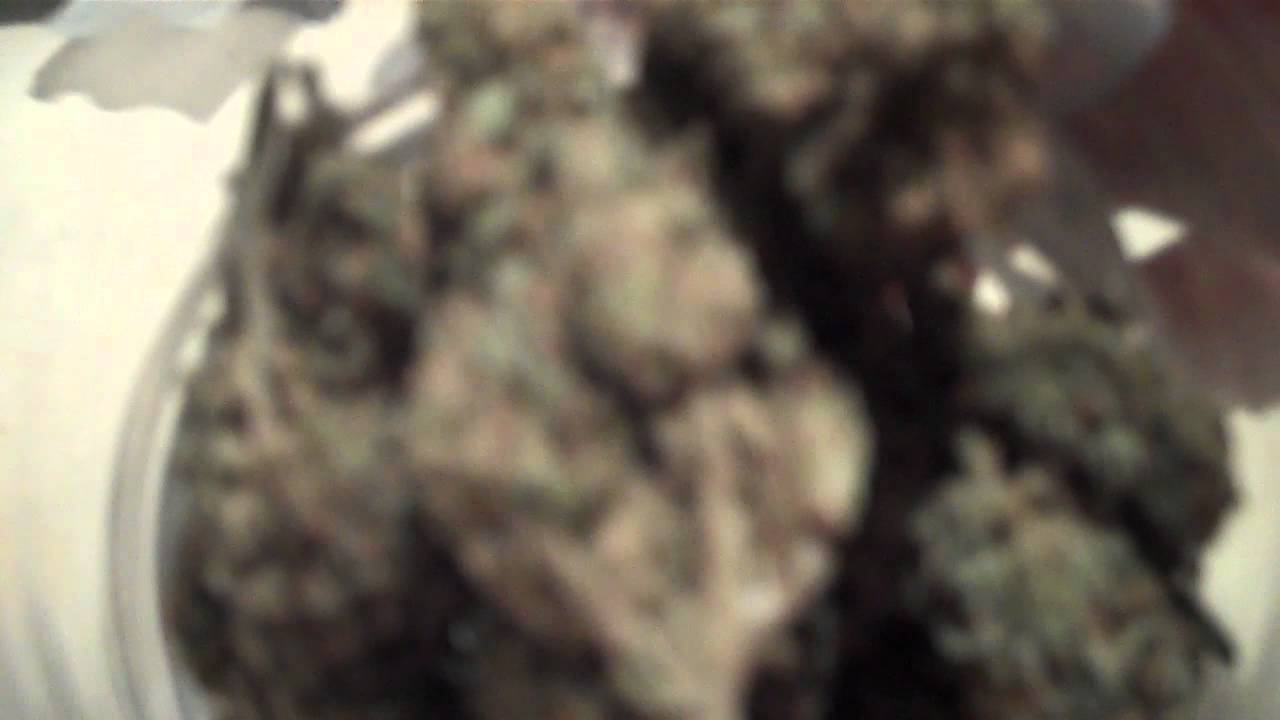 quarter ounce of blue dream