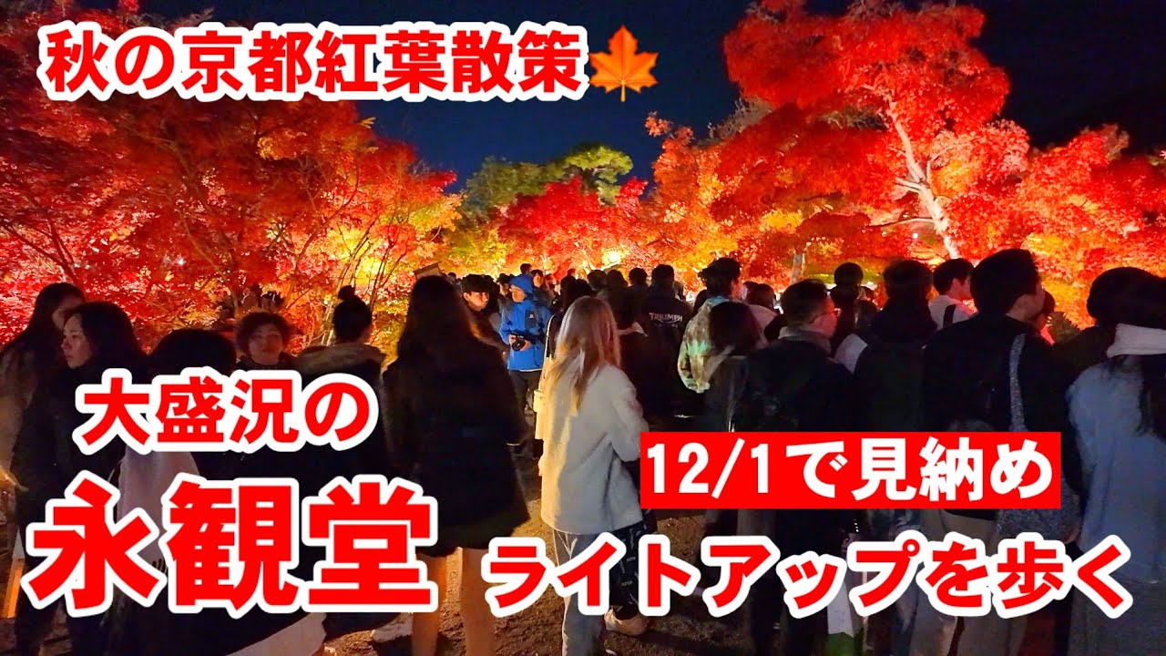 11/29(金)秋の京都紅葉散策🍁大盛況の永観堂 もうすぐ見納めのライトアップを歩く【4K】Eikando Temple Illumination