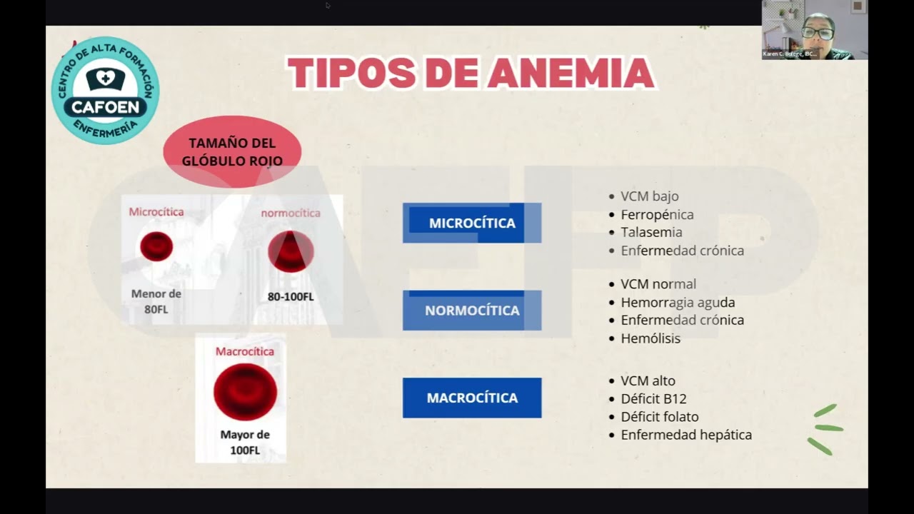 CURSO:Anemia en Gestantes yNiños:Abordaje Integral-Rol de la Lactancia MaternaNTS 213–2024(MODULO I)