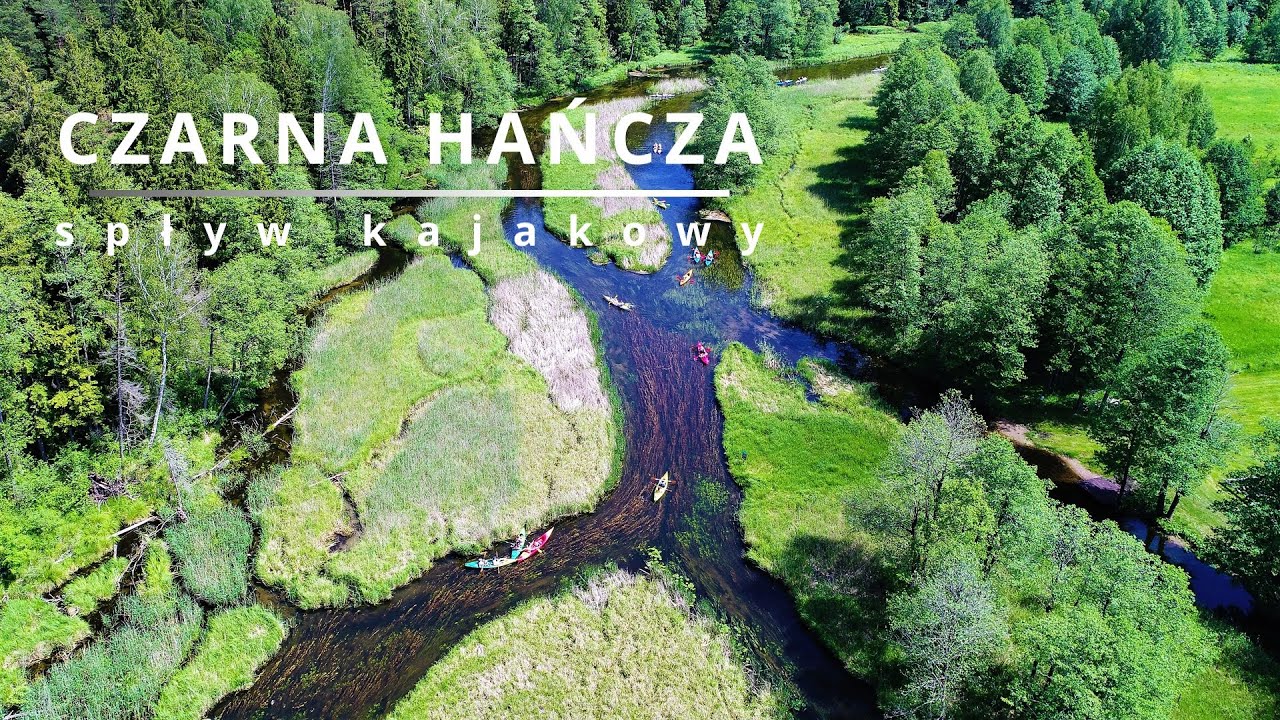 Czarna Hańcza spływ kajakowy | Wigierski Park Narodowy | 4K FILM DRONE