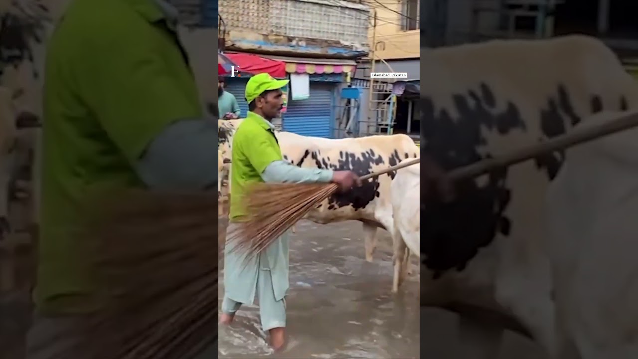 175 Dead As Heavy Rains Trigger Floods Across Pakistan | N18G