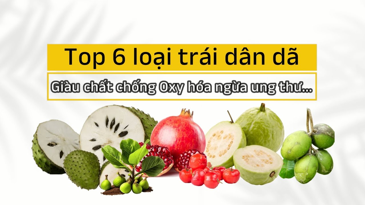 Top 6 loại trái dân dã - Giàu chất chống Oxid hóa, tăng cường hệ miễn dịch, ngừa bệnh Ung thư...