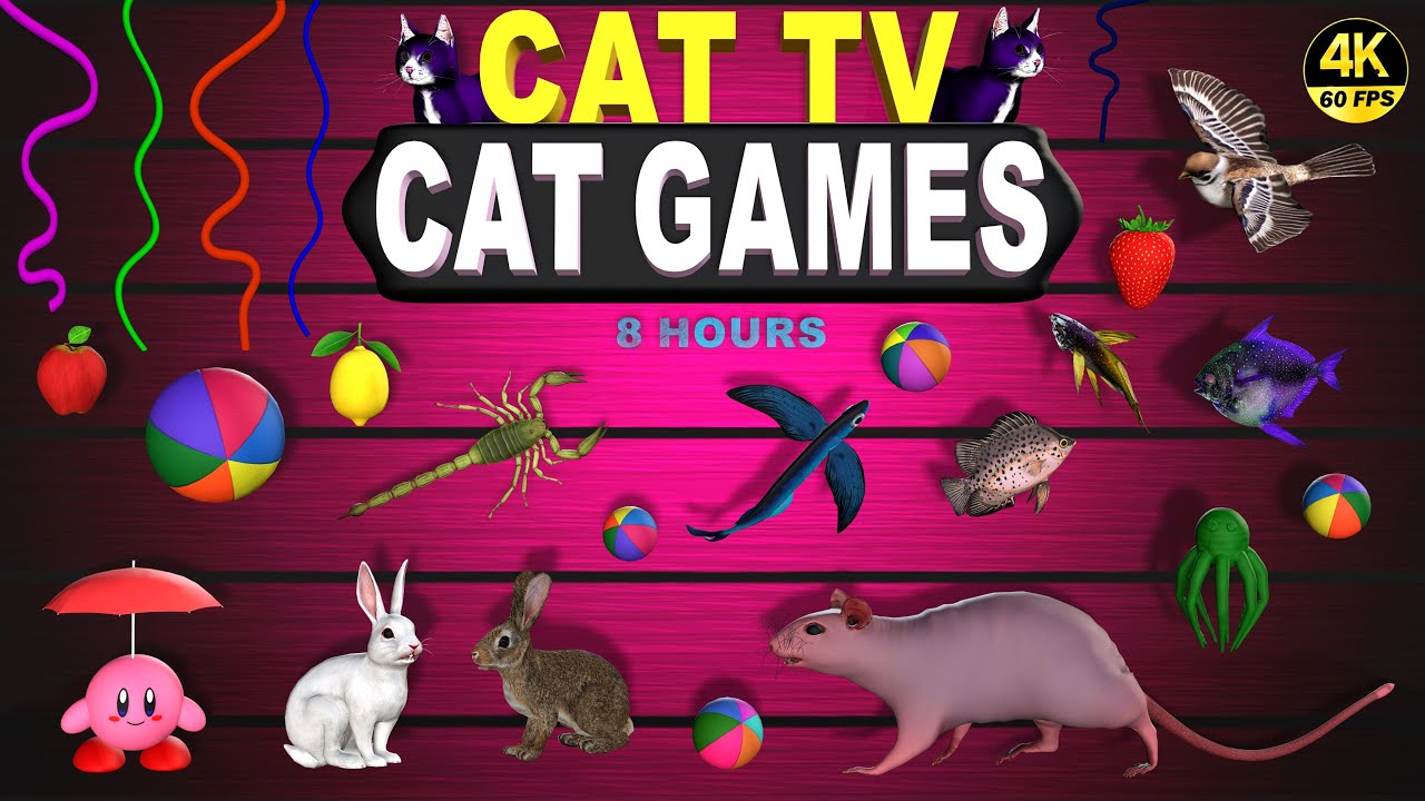 CAT GAMES | BEST VIDEOS FOR CATS TO WATCH ULTIMATE CAT TV |  ENTERTAINMENT FOR CATS 😻 4K 60 FPS