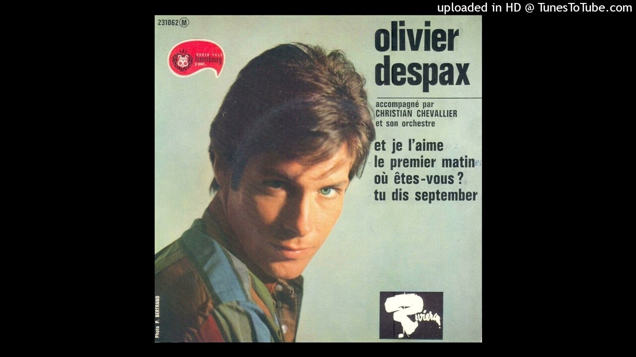 04  Olivier Despax - Ou êtes-vous