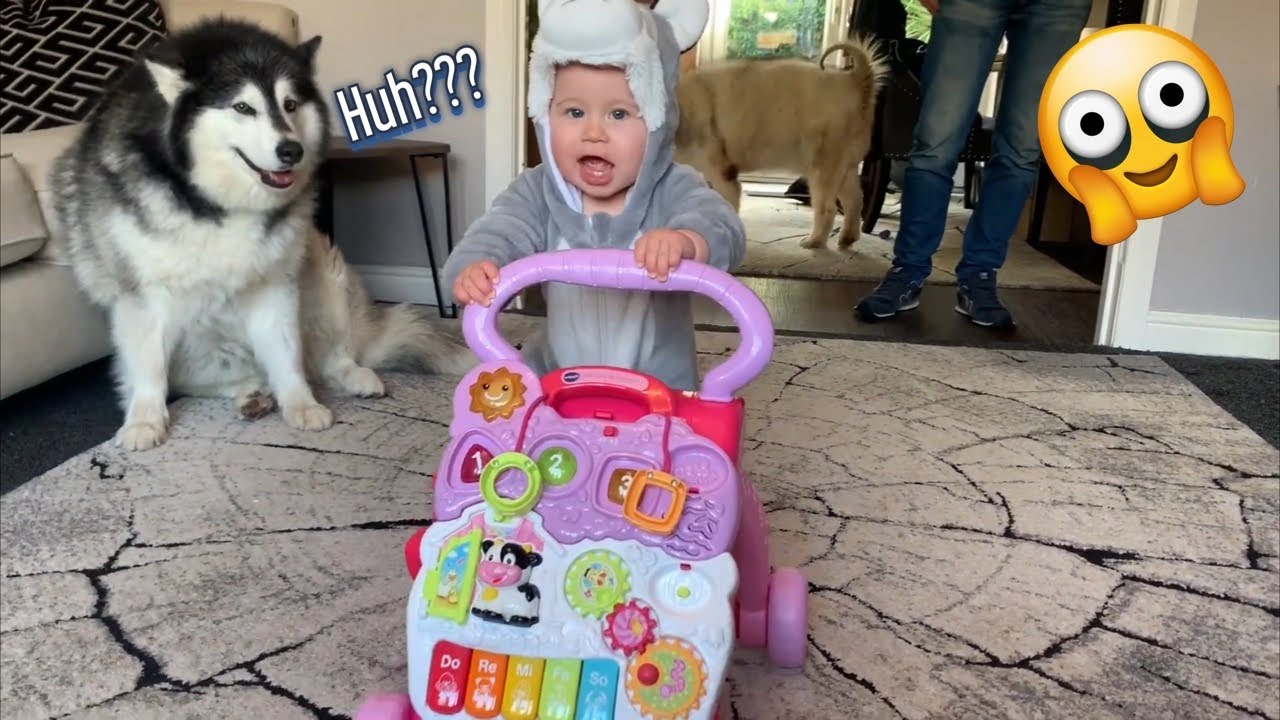 Baby's First Steps!! Our Little Angel Is Learning To Walk!!