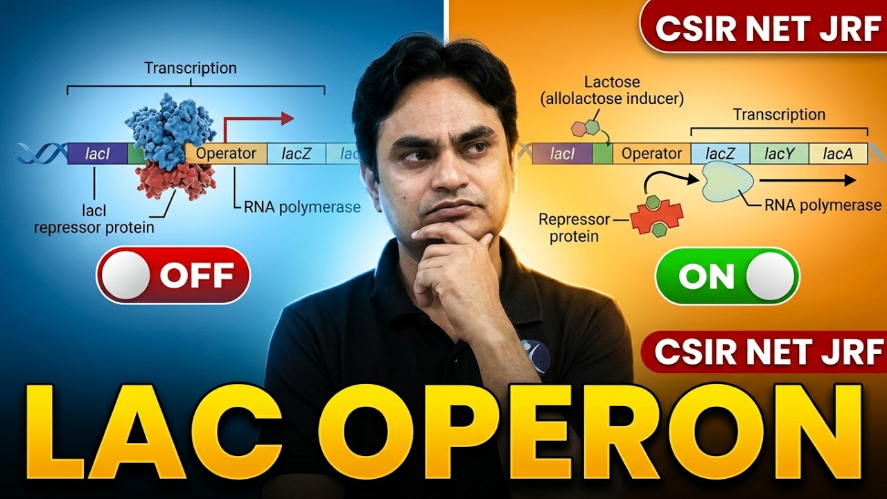 Lac Operon - Basic Concepts 2025- Molecular Biology - IFAS - CSIR - GATE - DBT - SET - CUET