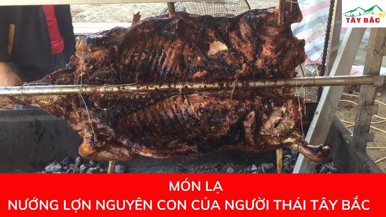 Nướng Lợn Nguy&ecirc;n Con | M&oacute;n Lợn Nướng Nguy&ecirc;n Con Si&ecirc;u Cay Của Người Th&aacute;i T&acirc;y Bắc | T&Acirc;Y BẮC TV