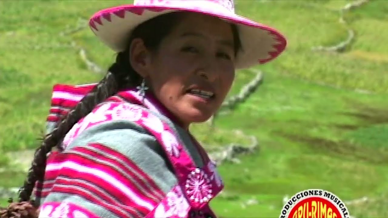 Flor andina de Chumbivilcas 
