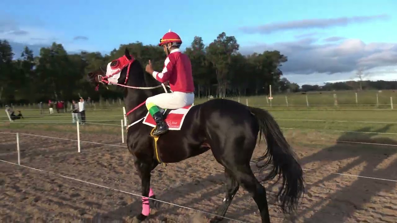 Majestic Glory- 400mts- 25/05/25- Tacuarembó