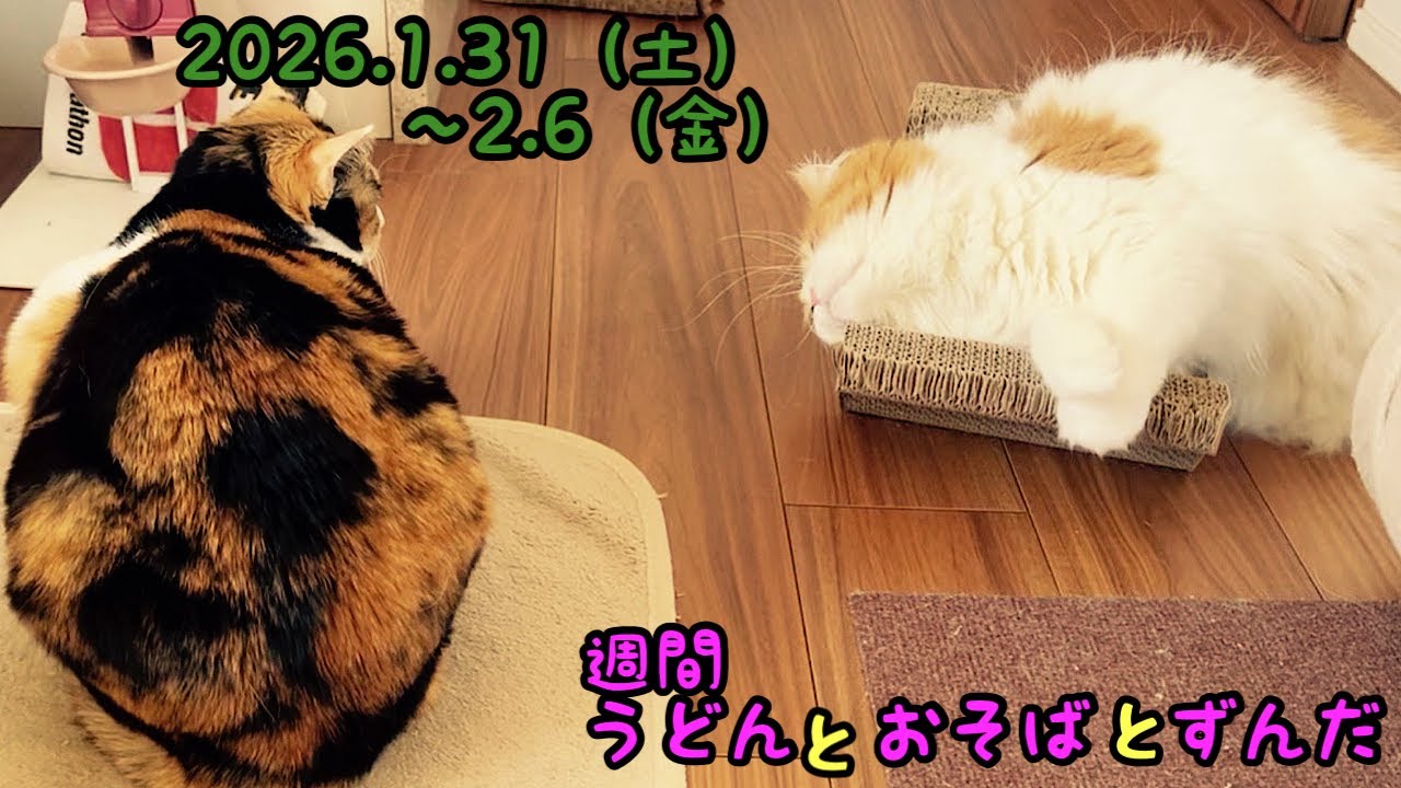 「まだまだ元気」「何見せられてんねん」など、1週間のわが家です。
