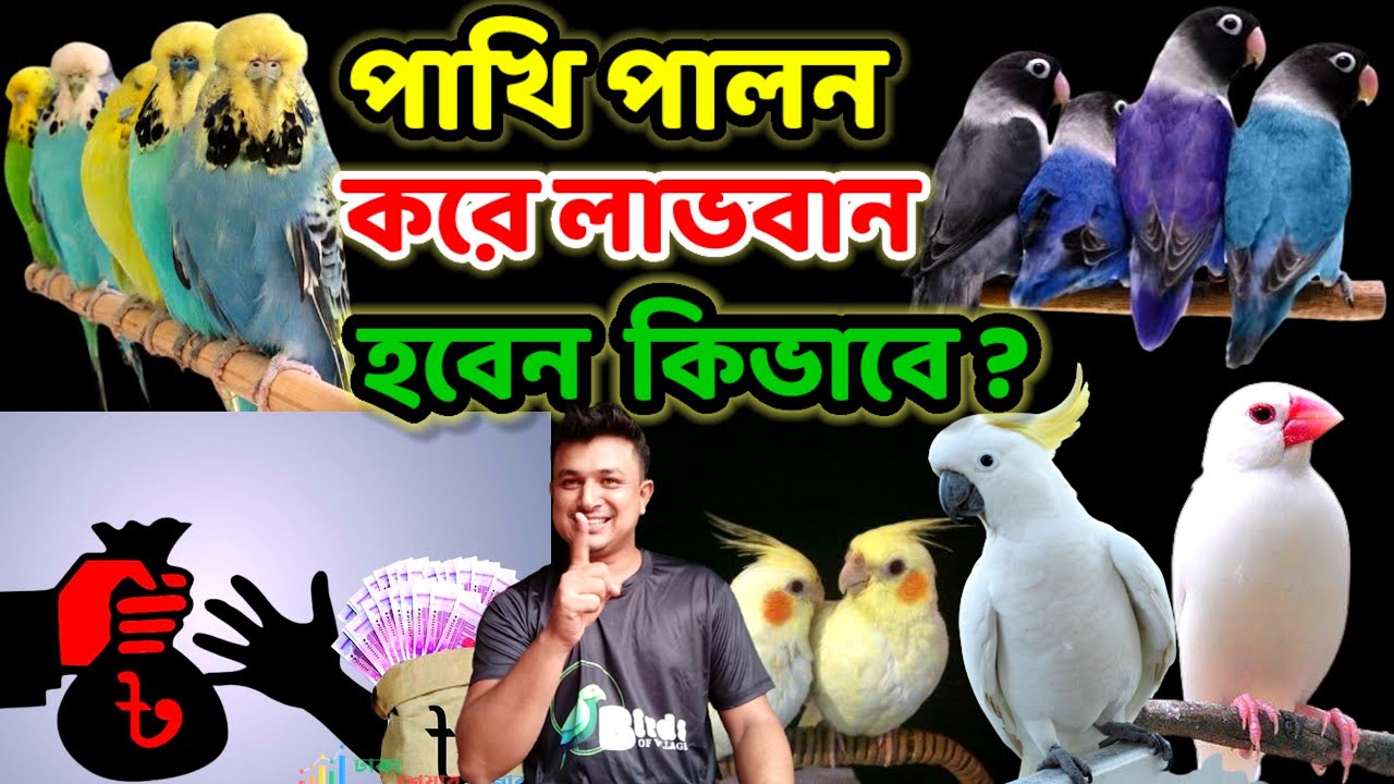পাখি পালন করে লাভবান হবেন কিভাবে || কোন পাখি পালনে লাভ বেশি || pakhi palon poddhot |Birds of village