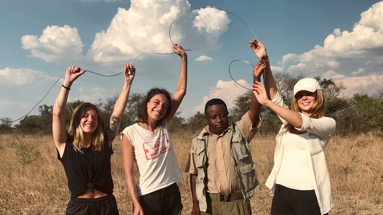 Incredible Encounters with Lions, Elephants and other wildlife- Volunteer project at Antelope Park