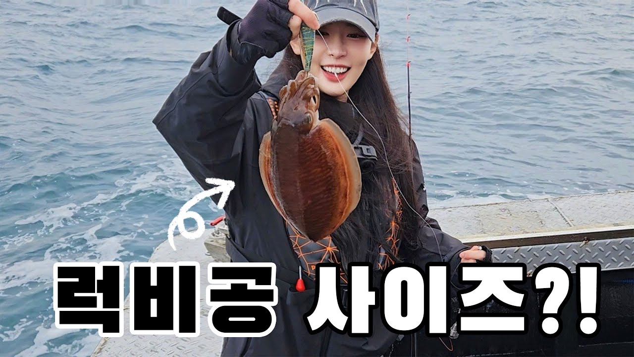 이런 갑오징어가?! 바다에서 럭비공이 튀어나왔다!